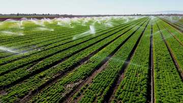 California's desert farmers defend their river rights