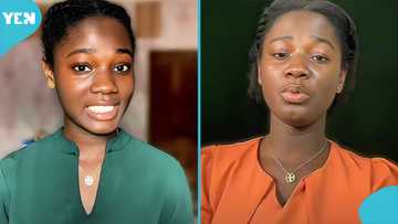 Ghanaian tech expert shares 3 essential AI tools every university student must know