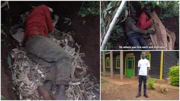 2 fatherless brothers abandoned by their mum and lived in a hole for 20 years get furnished house in video