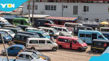 "We are not part": GPRTU distances itself from plans to increase transport fares