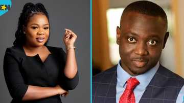 Abena Konadu Asante replaces the late Samuel Aboagye as Deputy NADMO Director