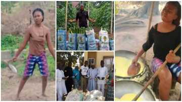 4 brilliant youths who are making it big as farmers after graduating from university