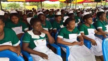 Unemployed nurses chastise Akufo-Addo for saying government had granted financial clearance to them