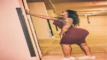11 pictures that prove Matilda Hipsy is a national treasure