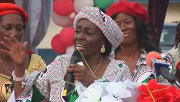 Bringing Konadu back will darken NDC election chances - Ben Ephson