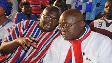 NPP executives to boycott president’s upcoming regional tour to Upper West