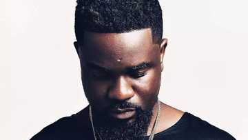 You'll disappear like Castro you if don't stop your evil ways - Prophetess warns Sarkodie in new video