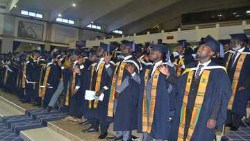 Dangerous future as expert confirms 40% Ghana's graduates have no job prospects