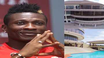 Asamoah Gyan loses $20,000 pet in his US$3million mansion and he is sad