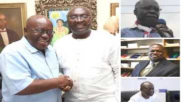 Meet the "killers" Akufo-Addo has selected for his Economic Management Team