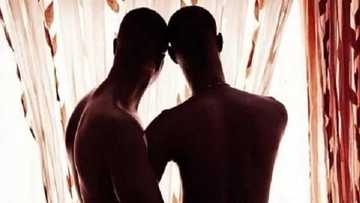 7 terrible things that could happen if homosexuality is legalized in Ghana