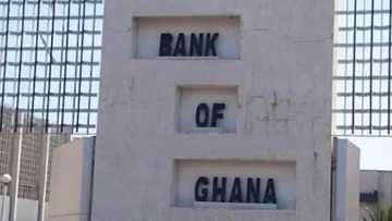 COVID-19: Central Bank urges MSMEs to spearhead economic recovery plan