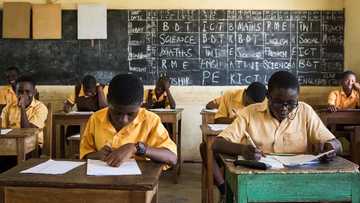 Basic school exams in Keta reportedly canceled over question in Ewe paper insulting president