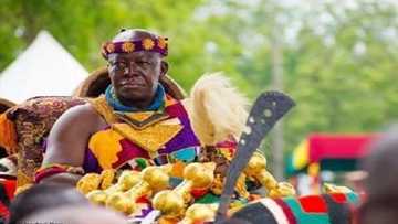 Kennedy Agyapong sends 'coded' message to Asantehene Otumfour Osei Tutu II