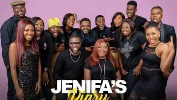 Everyone in Jenifa's diary cast