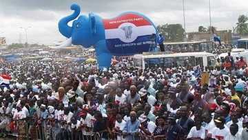 Shocked NPP man collapses after losing party primaries