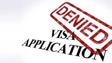 Ghana’s visa denial rate over 60% - U.S. State Department