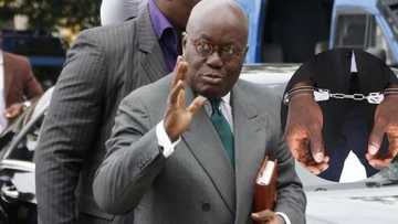 Prez Nana Addo must be arrested immediately for allegedly smoking weed - Amaliba