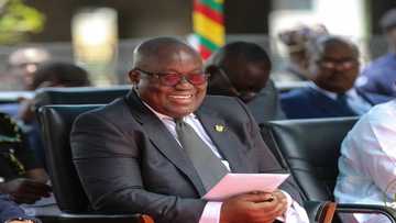 Akufo-Addo finally claps back at critics who used his height against him