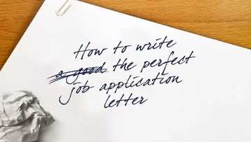 How to Write an Application Letter for Any Position Without Experience