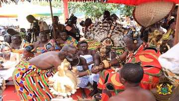 Gabby finally 'reconciles' with Otumfuo as he bows before him at Okyehene's durbar (Photo)