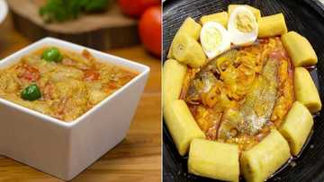 Recipe for Ghanaian garden egg stew