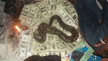 Why some Ghanaians are taking others' lives to make money & what should be done