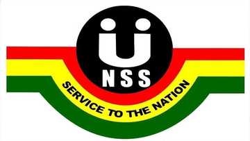 NSS appointment letter -all you need to know