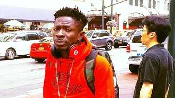 Shatta Wale’s voice is like that of a frog; he isn’t at Stonebwoy’s level – Nigerian releases the latest bombshell