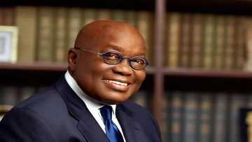 Profile: Nana Akufo Addo children, family, career and achievements