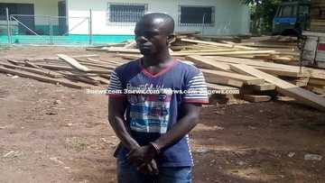 Former ‘Regional Minister’ arrested over illegal lumbering
