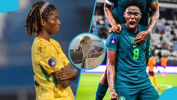 WAFCON 2026: ChatGPT names favourite to win tournament, snubs Ghana