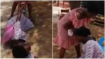 Emotions run high as woman falls flat in tears as she meets her missing child for the 1st time after 7 years