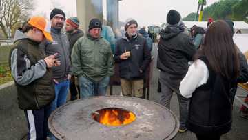 French PM urged to intervene over cow slaughter protests