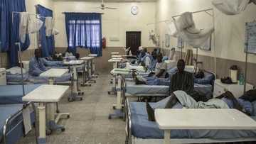 Coronavirus: Family of five rushed to hospital over chloroquine poisoning
