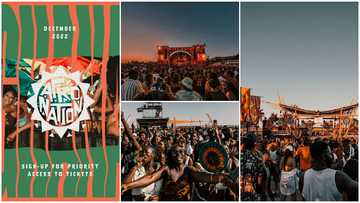 Afro Nation set to make massive comeback this December, ravers can't hold back excitement