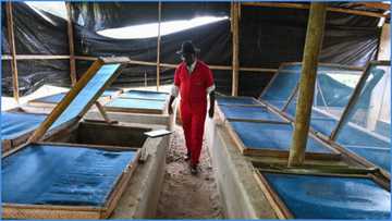 "My mother stopped talking to me, now I make over GH₵50K from Catfish": GH farmer opens up