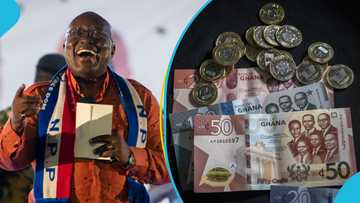 Good news for Akufo-Addo government as Ghana cedi predicted to have stable end to 2024