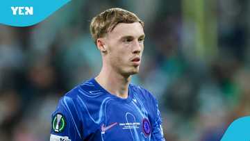 Cole Palmer hits out at Chelsea teammates after 3-1 Bayern UCL defeat