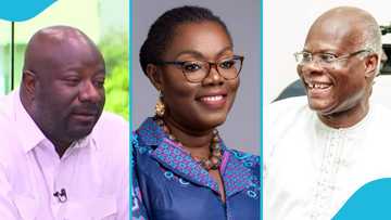 Top NPP man speaks on how much Parliamentary Candidates spent on elections: "It can build a mansion"