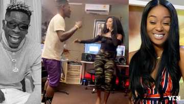 Efia Odo goes wild; warns SM fan over Shatta Wale