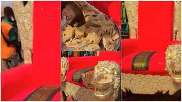 Lady bakes throne-like cake to mark her dad's 25th year as king