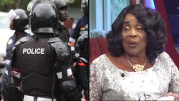 Maame Dokono recounts how a woman from WAJU and 10 policemen stormed her orphanage to arrest her