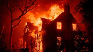 Los Angeles wildfires costliest in history: Munich Re