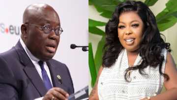Afia Schwar begs Akufo-Addo for appointment; lists all benefits she deserves after campaigning for him