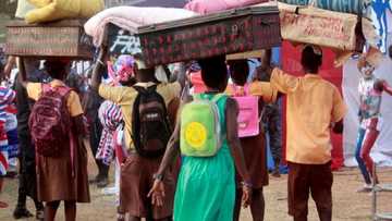 Food shortage hits Free SHS; students asked to go home ahead of vacation date to avoid shame