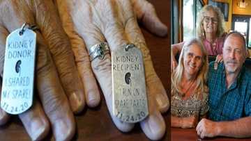 True love: Newly married woman donates kidney to husband's ex-wife