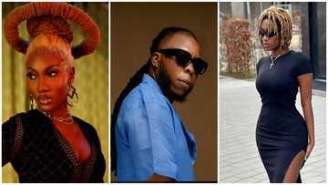 Wendy Shay blasts artistes stealing her vocals, Ayigbe Edem reacts