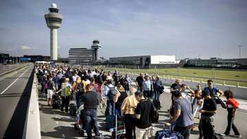 Schiphol CEO quits over Amsterdam airport chaos
