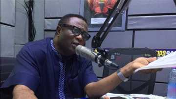 Reject new body guards; they may be spies - Afriyie Ankrah tells minority in parliament